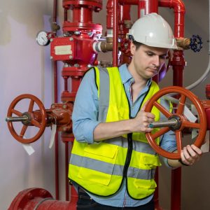 fireline (5) fireline (5)